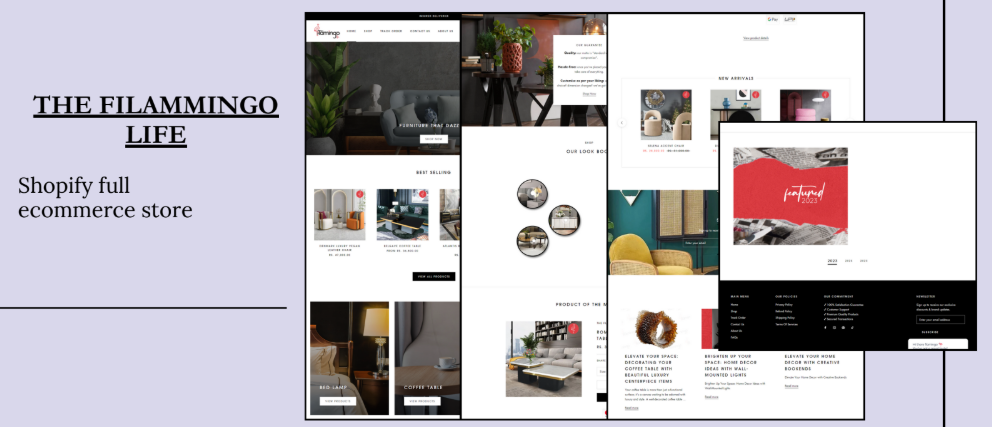 Shopify store portfolio screenshot 1